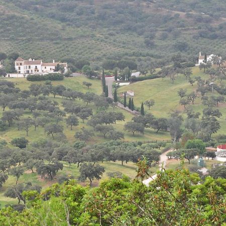 La Rejaquera Villa Villanueva del Rio y Minas Eksteriør billede